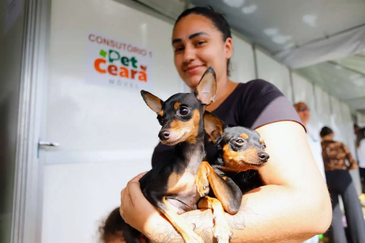 Elmano sanciona lei que institui dia para celebrar a amizade entre animais de estimação e tutores no Ceará