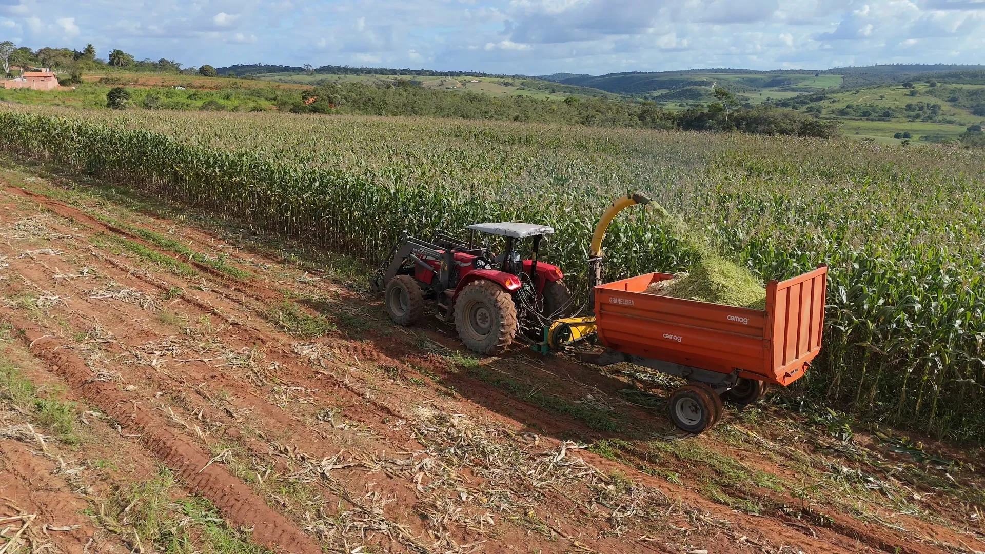 Governo deve se reunir este mês com empresários do agro para discutir Plano Safra 2025/2026