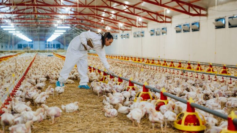 Governo e Congresso querem fundo para indenização por crise sanitária