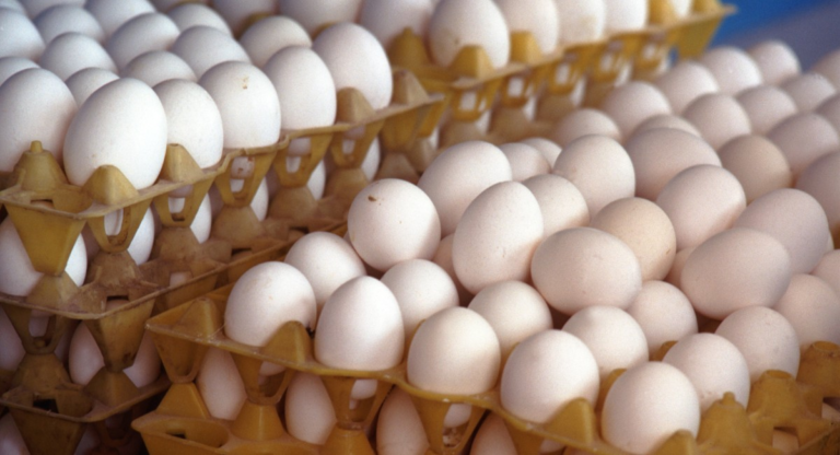 Ovos da granja contaminada com gripe aviária estão em três estados