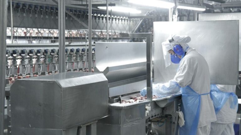 Frigoríficos serão os mais beneficiados com avanço do Brasil na segurança alimentar