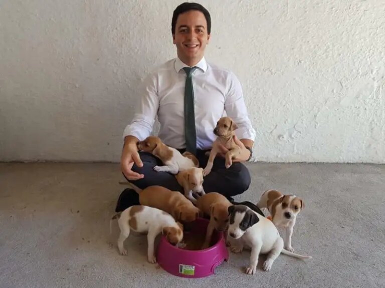 Célio Studart propõe que cães e gatos sejam incluídos como dependentes no Imposto de Renda