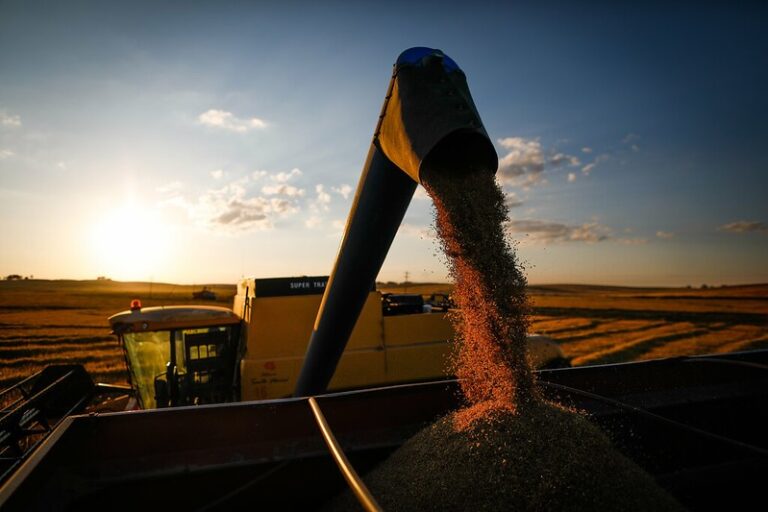 Preços do arroz recuaram em abril e continuam em queda em maio