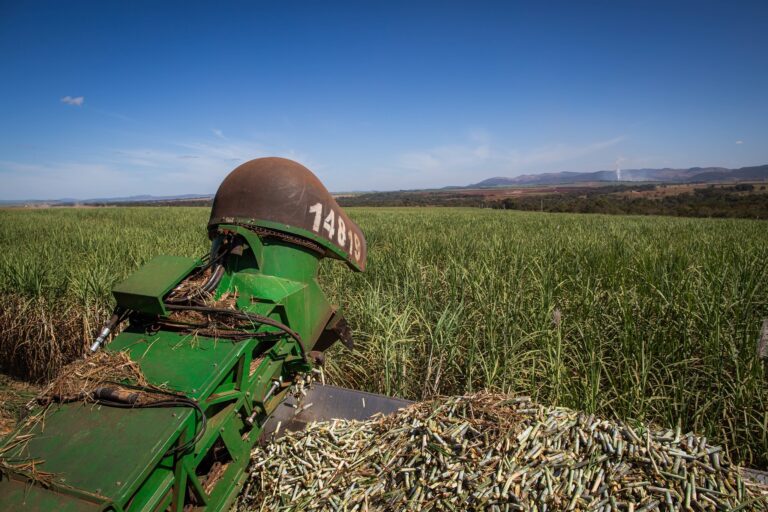 Moagem de cana-de-açúcar recua mais de 30% entre janeiro e abril