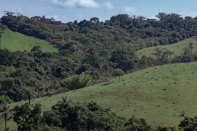 No Congresso, 89 projetos de lei propõem alterações no Código Florestal