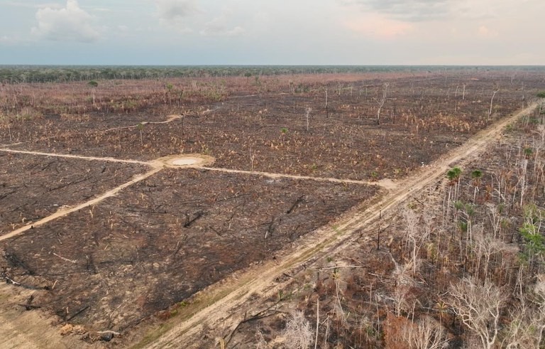 UE define que Brasil é país de ‘risco padrão’ de desmatamento