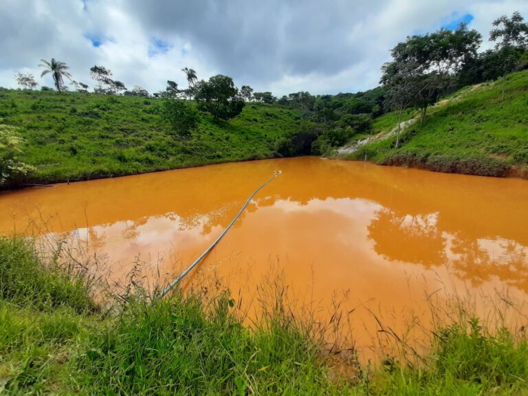 Barraginhas elevam produção de hortas no norte de Minas Gerais