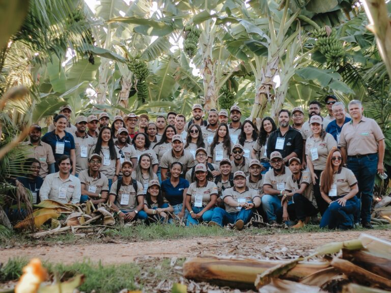 Cacau em Minas Gerais: jovens produtores participam de imersão na cadeia