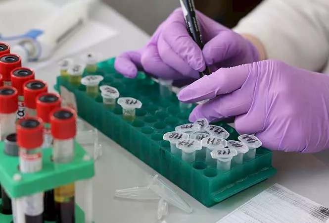 Phytobiotics Brasil: melhor para trabalhar no agronegócio entre as pequenas empresas