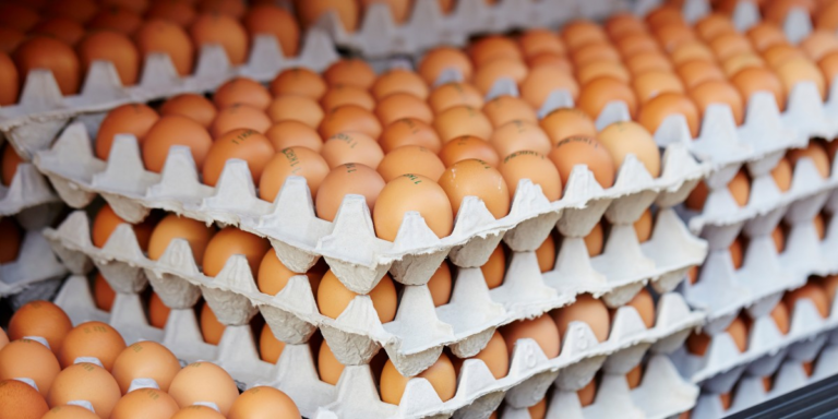 Preços dos ovos e frango cairão como consequência dos embargos às exportações