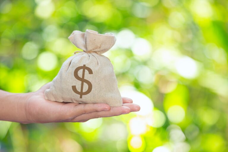 Desembolsos do crédito rural alcançam R$ 298 bilhões na safra 2024/25
