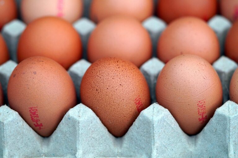 Fávaro vê estabilidade nos preços de carnes de aves e ovos após gripe aviária