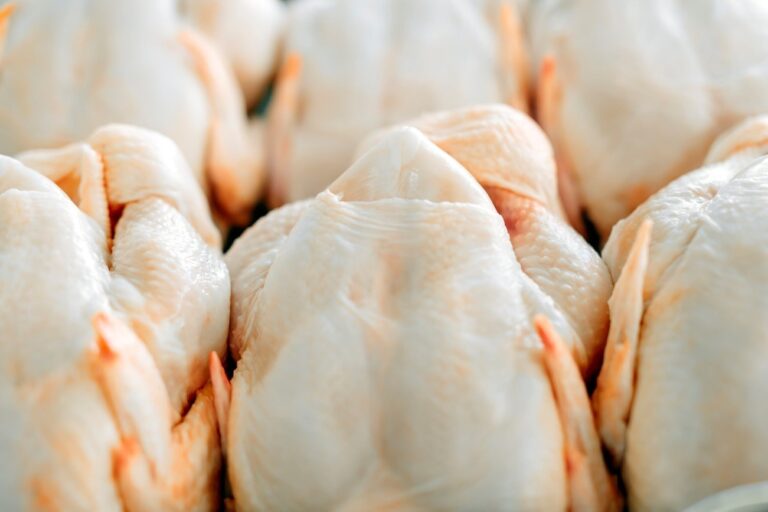Exportações de carne de frango cresceram 9,5% de janeiro a abril