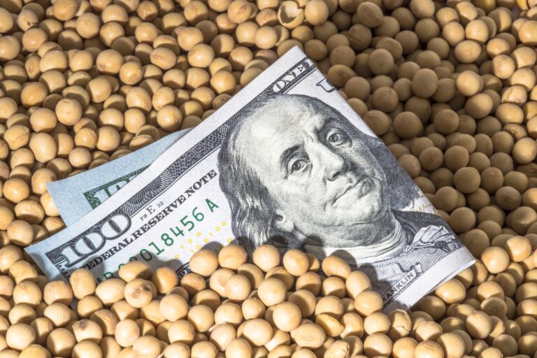 Mercados de commodities agrícolas nos EUA estão fechados por feriado