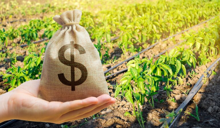Governo anuncia liberação de R$ 179 milhões para o seguro rural