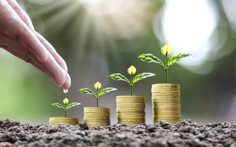 Força do crédito: número de startups financeiras que atuam no agro cresceu 14,1% em 2024