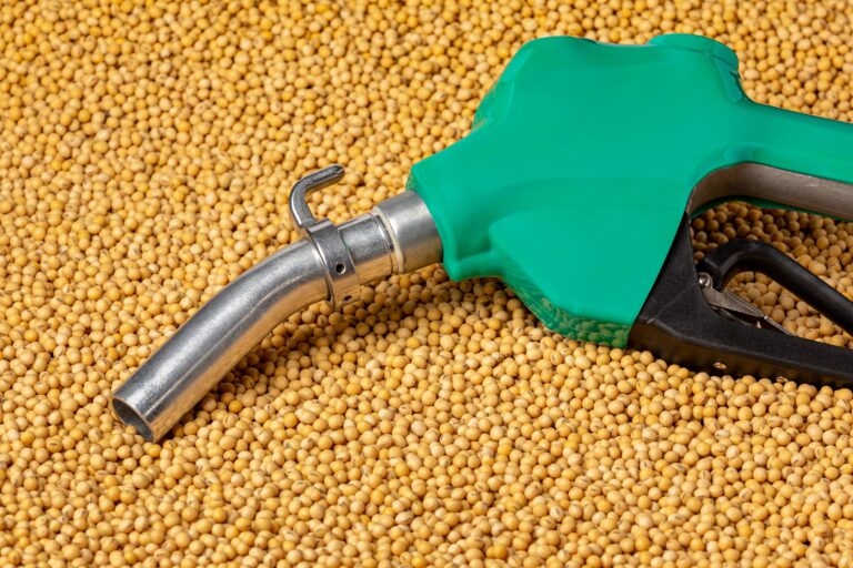 Cooperativas do RS irão investir R$ 1,25 bilhão em usina de biodiesel