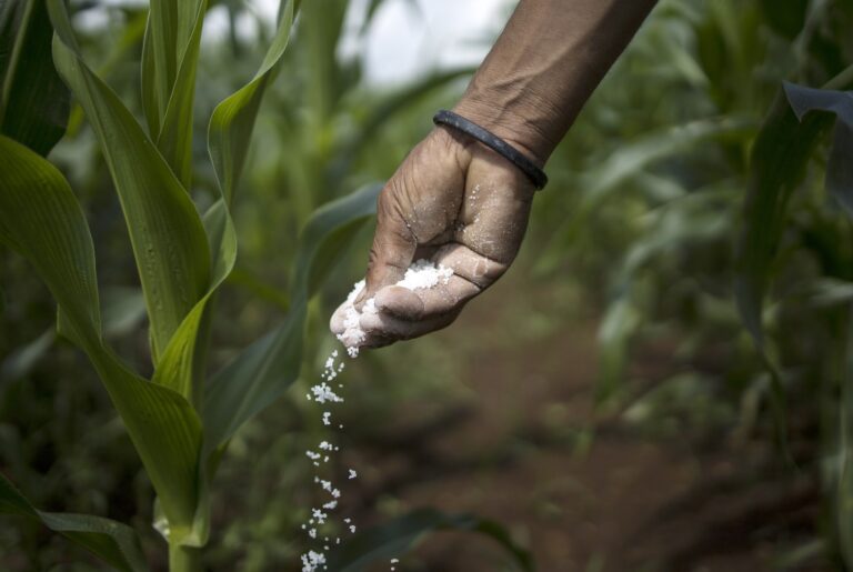 Faturamento do mercado de fertilizantes especiais cresceu 19% em 2024