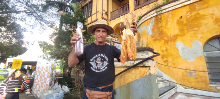 Sementes crioulas ajudam recompor lavouras e enfrentar crise climática