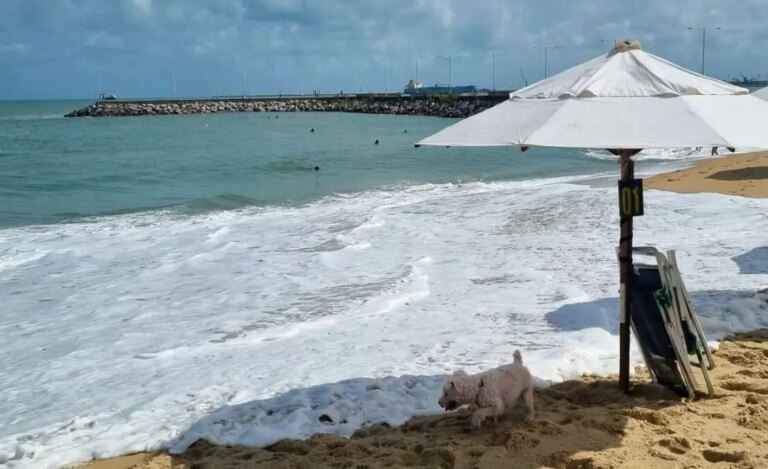 Fortaleza tem 8 trechos de praia próprios para banho neste fim de semana