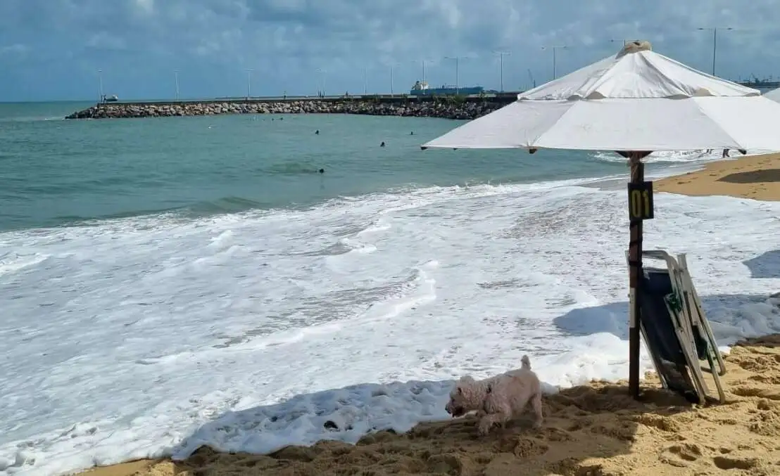 Fortaleza tem 8 trechos de praia próprios para banho neste fim de semana