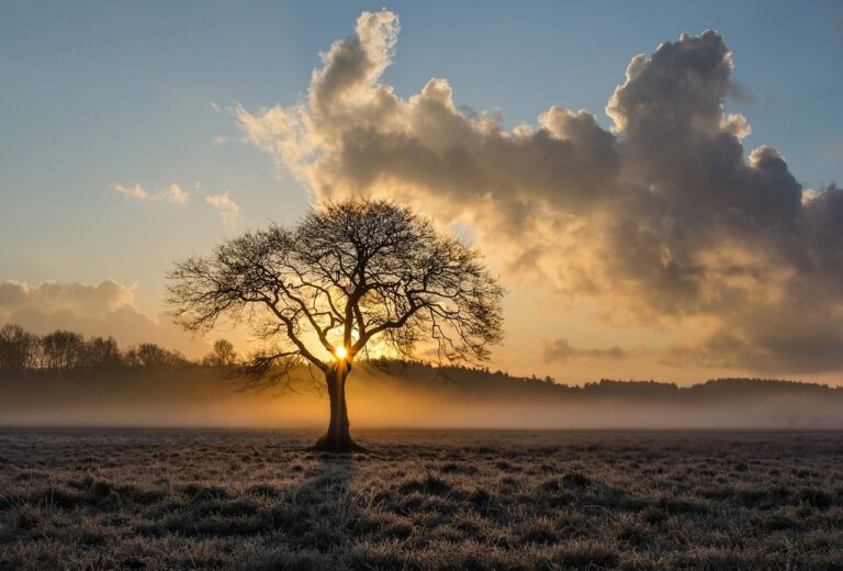 Ar frio avança e temperaturas caem nos próximos dias; veja a previsão