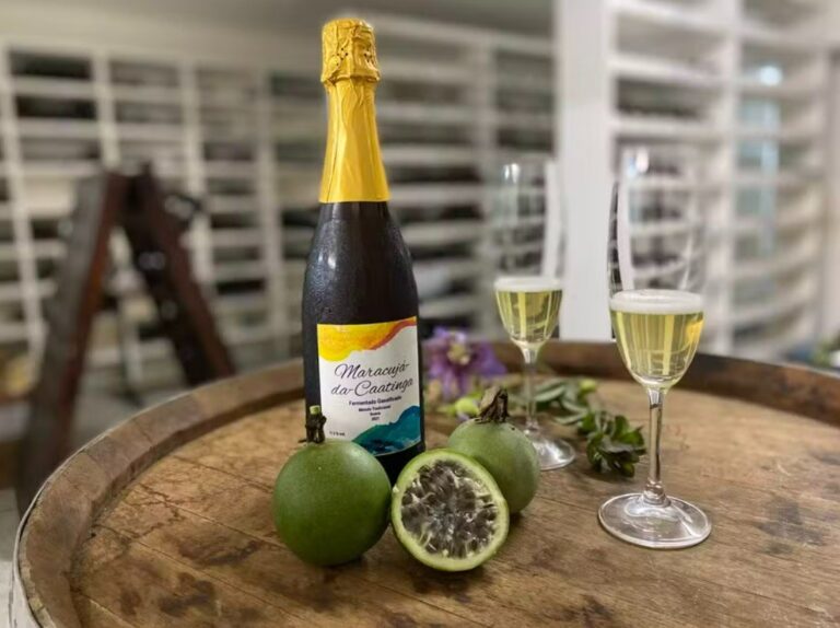 Maracujá-da-caatinga: conheça as novas bebidas de fruta que fazem sucesso no semiárido