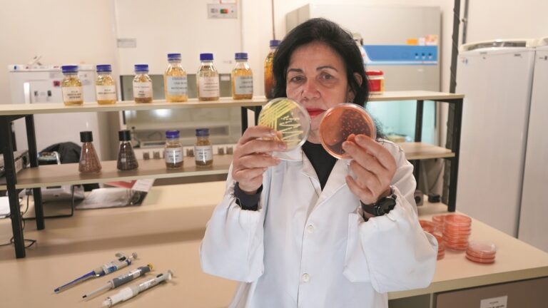 Cientista brasileira ganha ‘Nobel’ da agricultura por pesquisa em biológicos