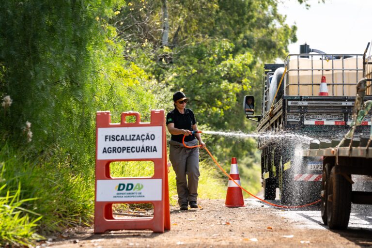 Desinfecção total ainda não foi concluída em granja afetada por gripe aviária
