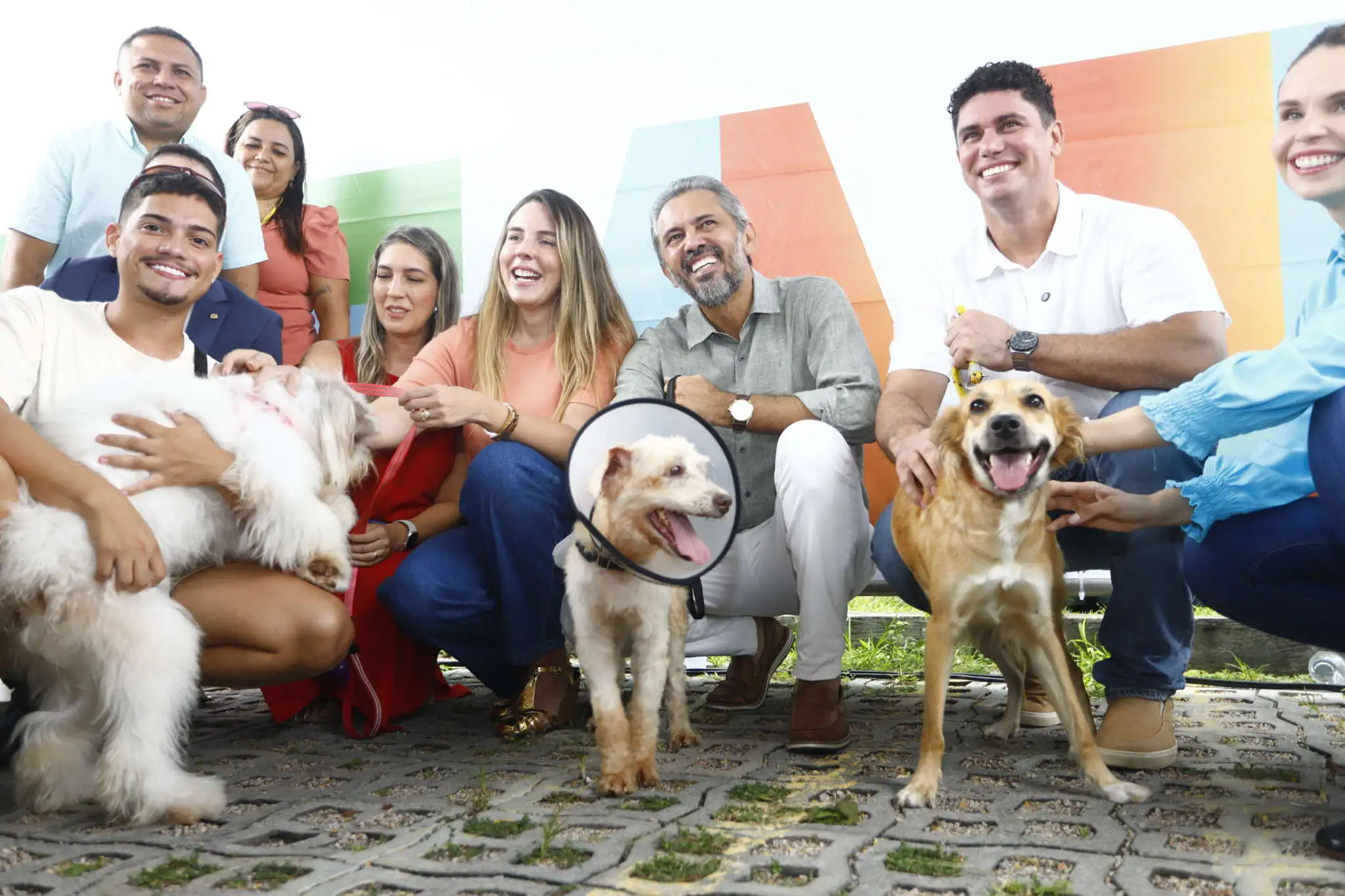 Ônibus com centro cirúrgico vai rodar o Ceará com castrações gratuitas de cães e gatos