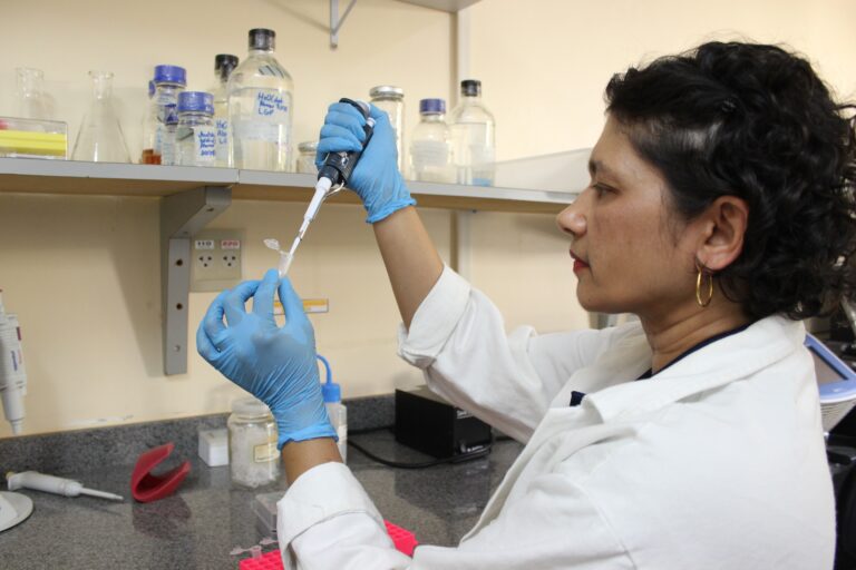 Ajustar regras sobre biotecnologia com a China pode render US$ 1,5 bi por ano ao agro brasileiro