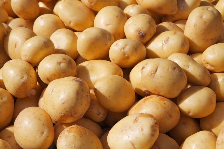 De onde vem a batata? Conheça a origem do alimento