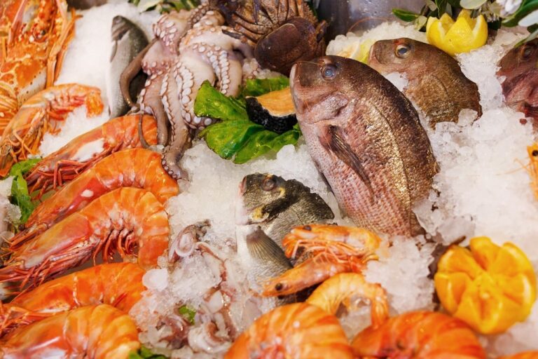 Brasil abre mercado para exportar pescados à Austrália