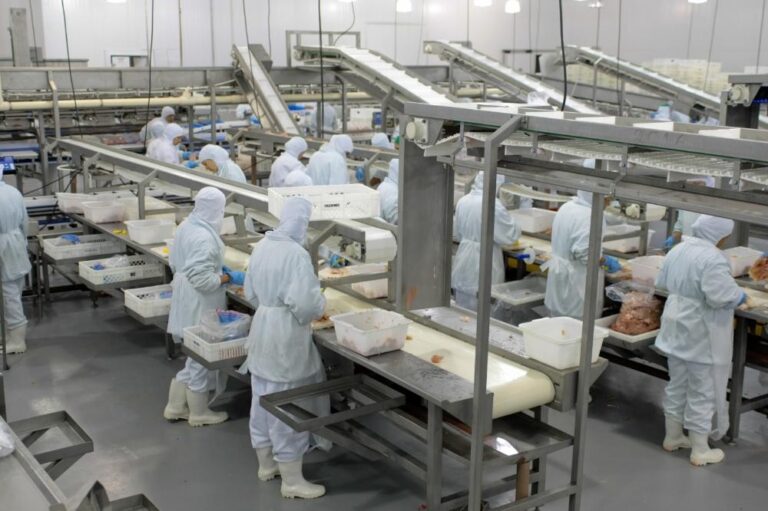 Gripe aviária deixa frigoríficos cautelosos na compra de gado