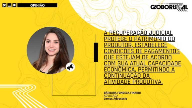 Produtores podem se recuperar de tempos difíceis no campo