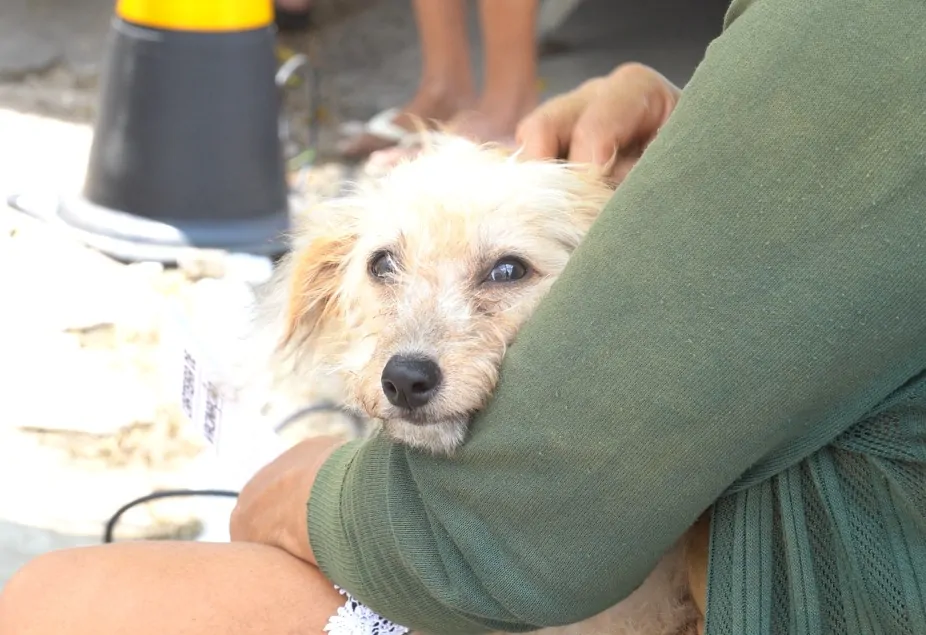 VetMóvel chega com atendimento gratuito ao Bom Jardim