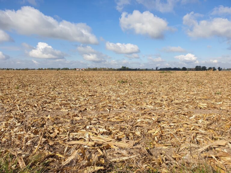 Previsão indica tempo seco e calor de até 30ºC; veja onde