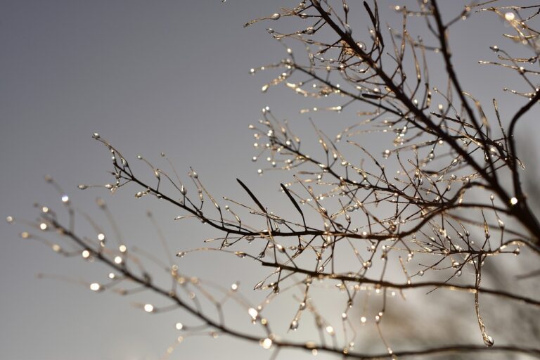 O que está causando o frio? Entenda a queda nas temperaturas