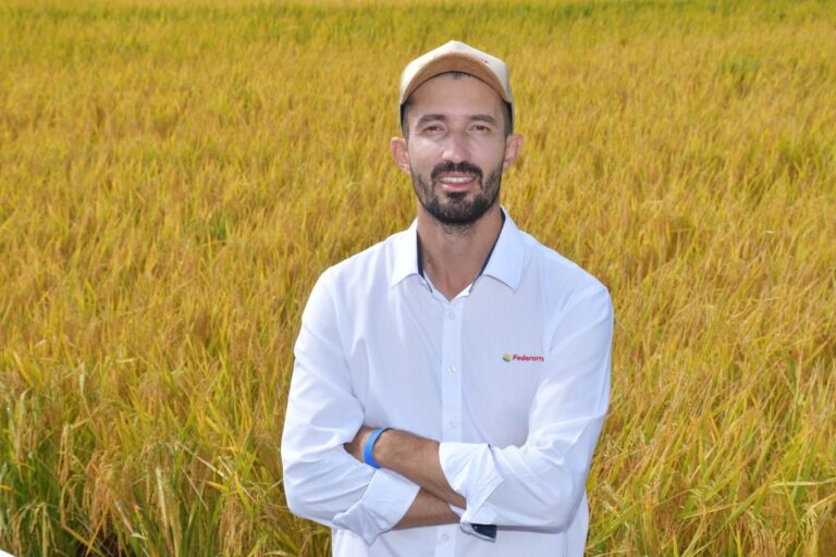 Produtor de arroz tem prejuízo na supersafra