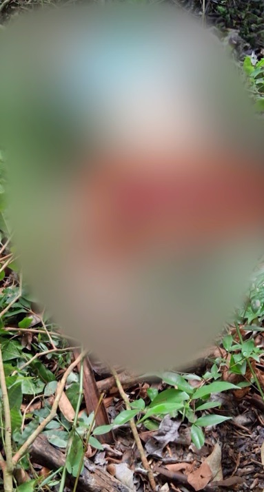 Jovem é encontrada morta com os seios expostos e o rosto desfigurado em Caucaia/CE