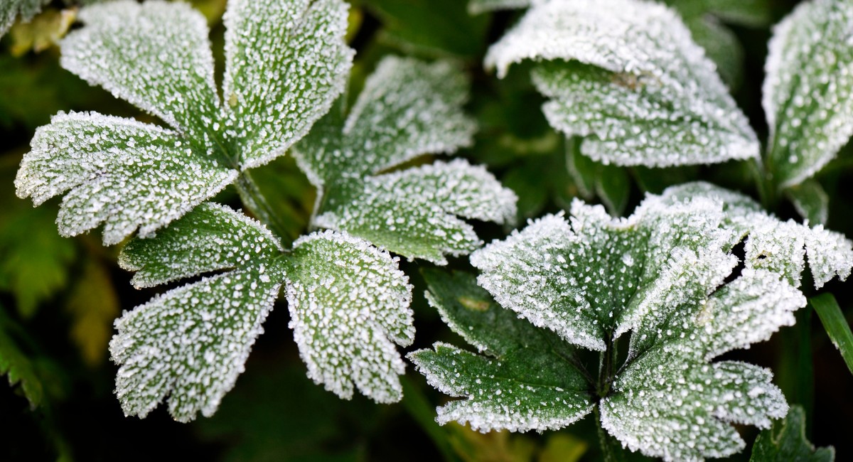 Frio derruba temperaturas no Centro-Sul
