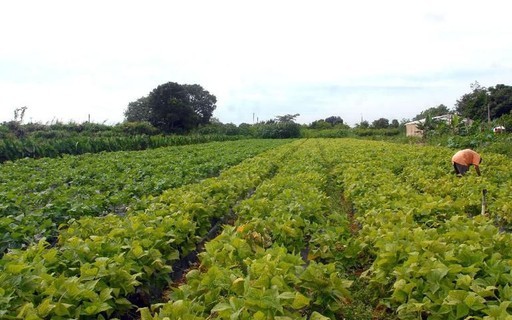 Vale do Juruena, em MT, concede os primeiros títulos de terras a agricultores familiares