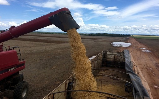 Preço da soja cai em Mato Grosso seguindo tendência do mercado externo