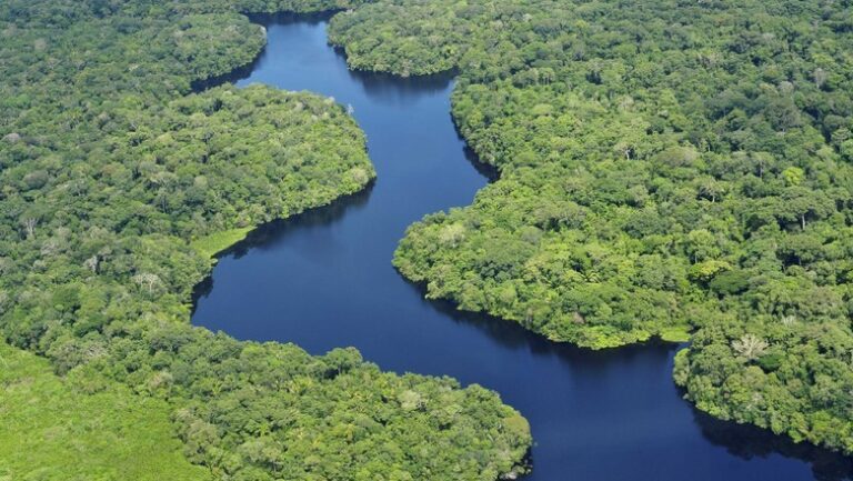 Qual é o maior rio do mundo? Oito recordes curiosos que vão te surpreender