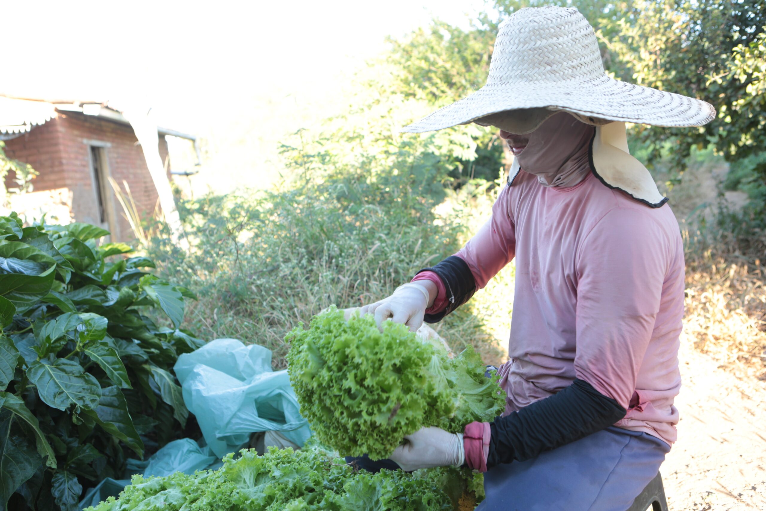 No Semiárido, renda “digna” do agricultor deveria ser 3 vezes maior que salário mínimo