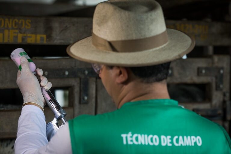 Vacina contra febre aftosa vive momento de despedida