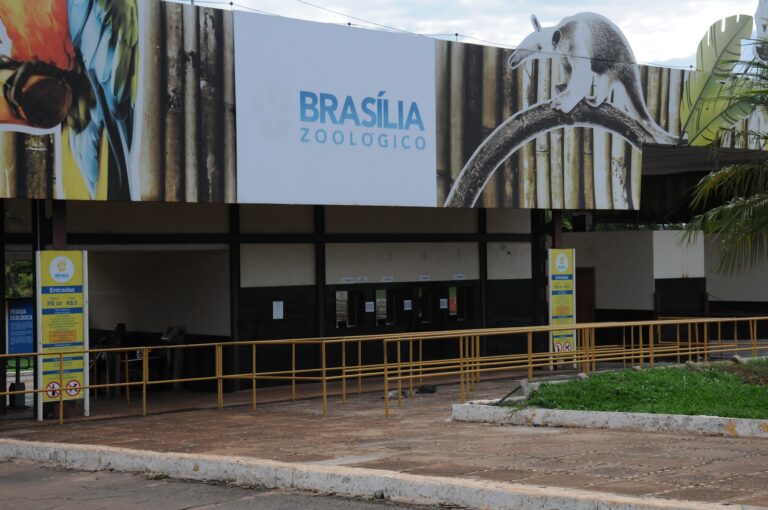 Governo confirma primeiro caso de gripe aviária em Brasília