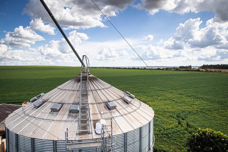 Conab quer ampliar estrutura para estocar alimentos; ouça o comentário
