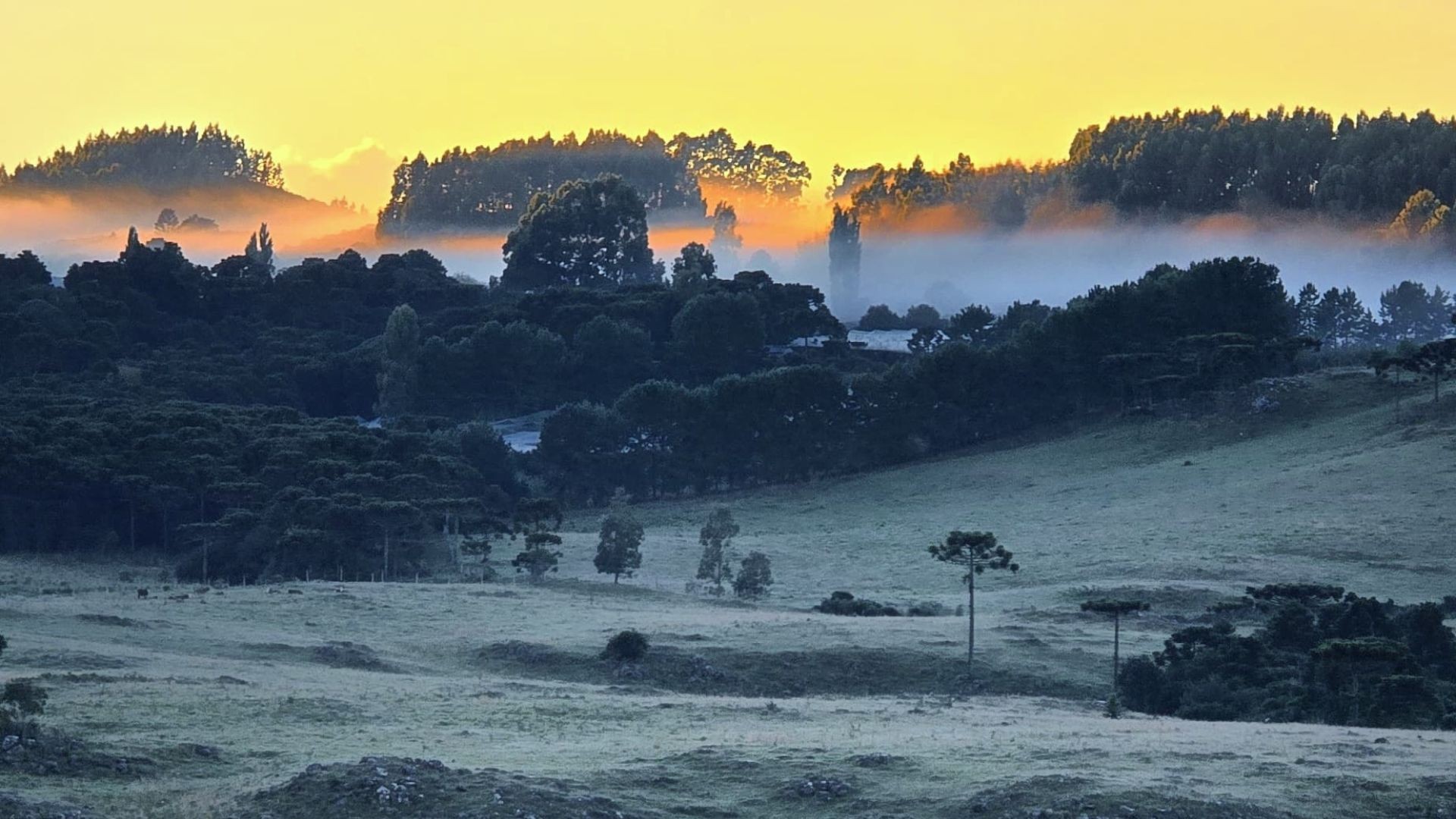 Como será o inverno em 2025? Veja a previsão do tempo