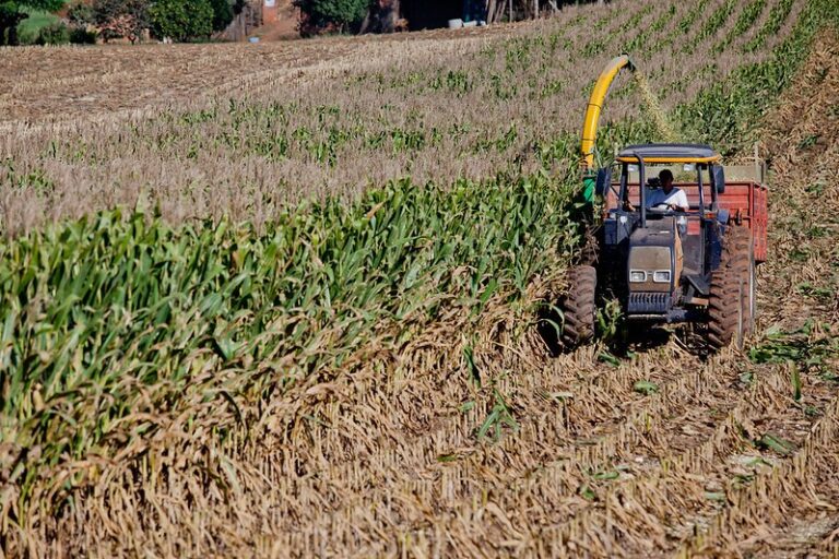 CMN aprova mudança em regulamento do Proagro para ano agrícola 2025/2026